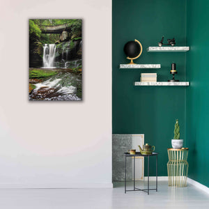 'Elakala Falls West I' by Alan Majchrowicz,Giclee Canvas Wall Art,26x40