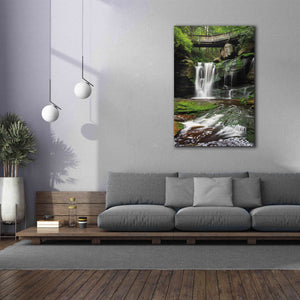 'Elakala Falls West I' by Alan Majchrowicz,Giclee Canvas Wall Art,40x60