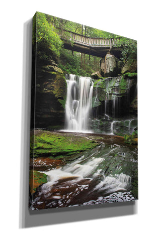 Image of 'Elakala Falls West I' by Alan Majchrowicz,Giclee Canvas Wall Art