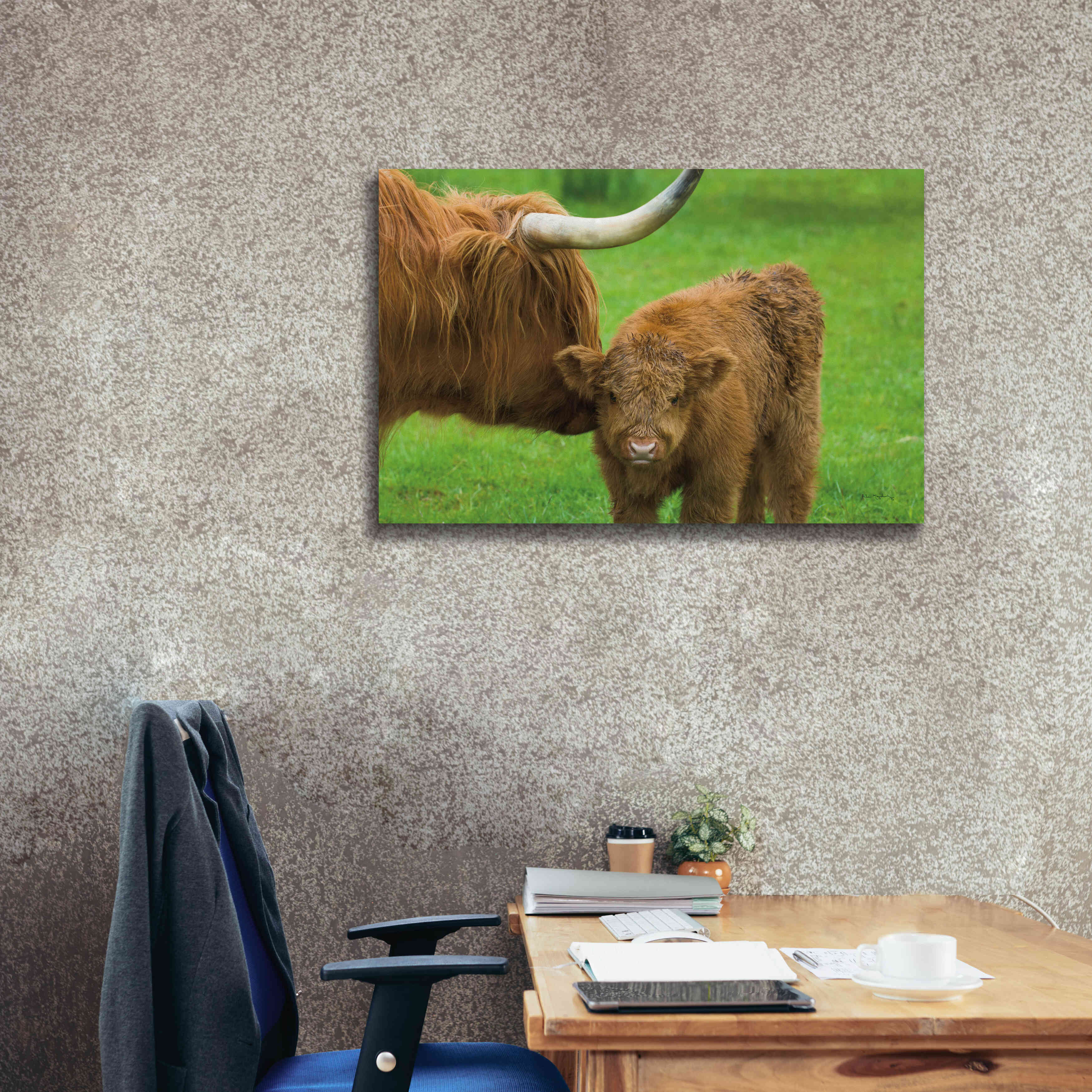 'Scottish Highland Cattle VII' by Alan Majchrowicz,Giclee Canvas Wall Art,40x26
