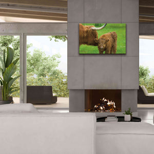 'Scottish Highland Cattle VII' by Alan Majchrowicz,Giclee Canvas Wall Art,40x26