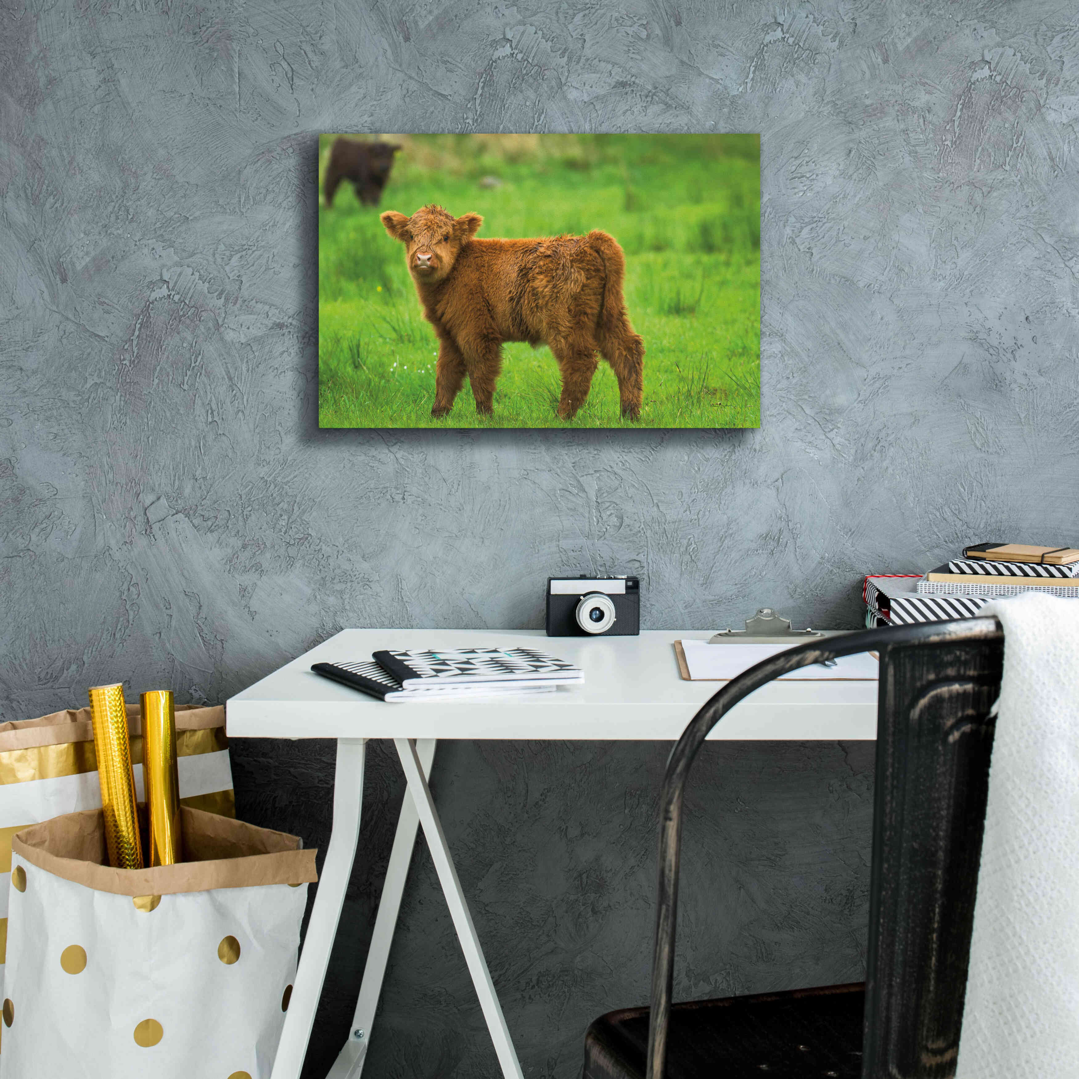 'Scottish Highland Cattle X' by Alan Majchrowicz,Giclee Canvas Wall Art,18x12