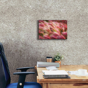 'Foxtail Barley II' by Alan Majchrowicz,Giclee Canvas Wall Art,18x12