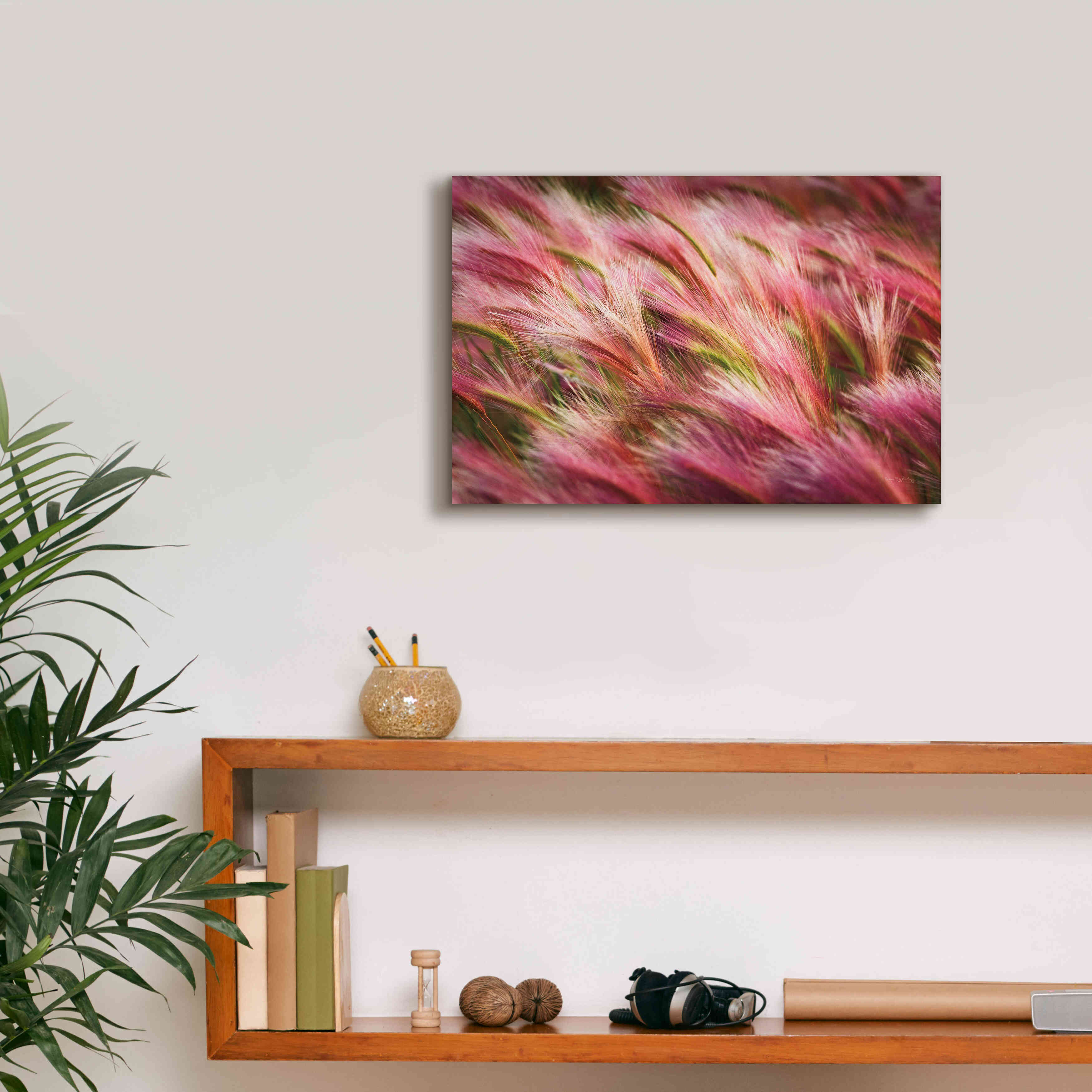 'Foxtail Barley II' by Alan Majchrowicz,Giclee Canvas Wall Art,18x12