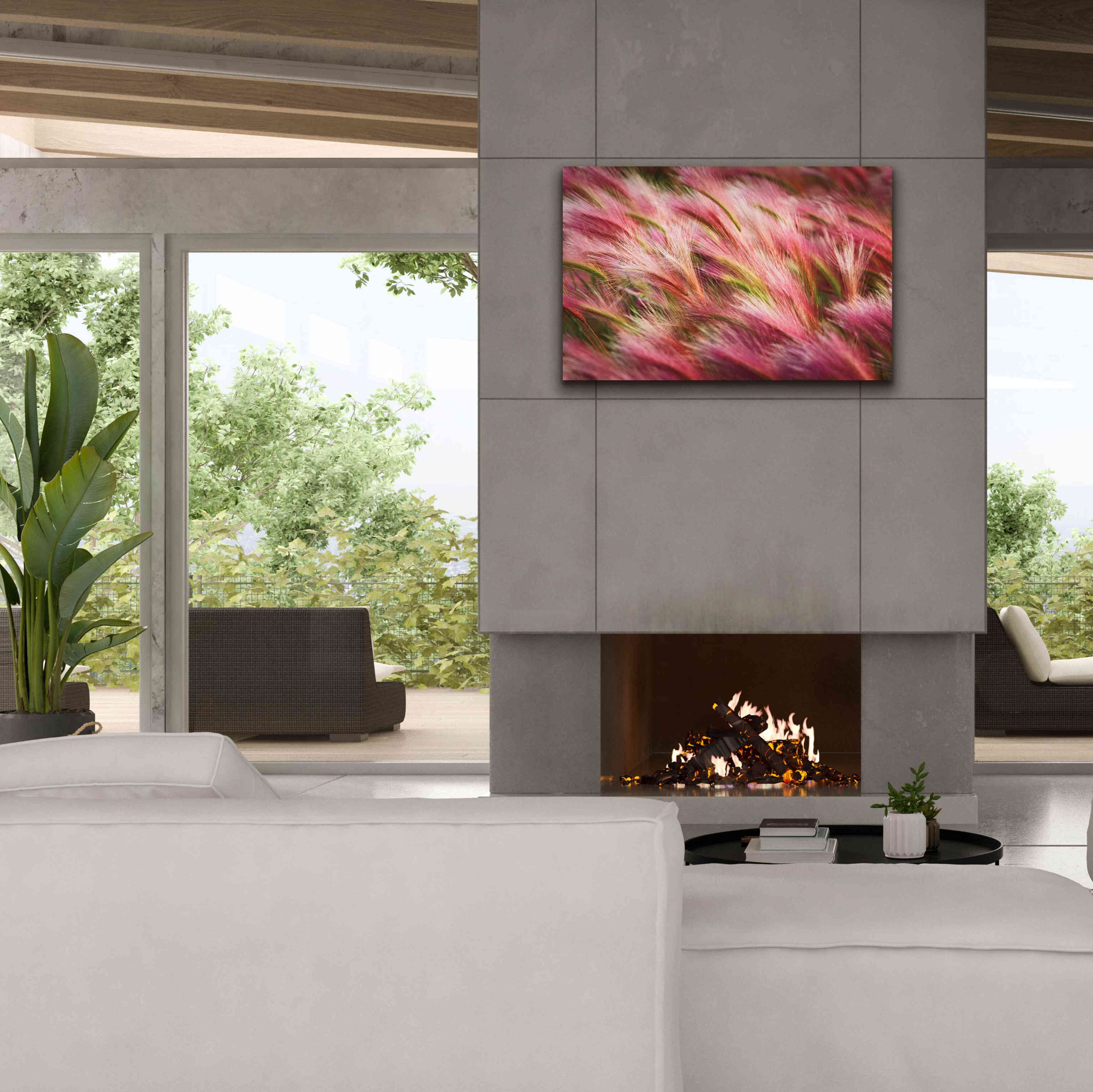 'Foxtail Barley II' by Alan Majchrowicz,Giclee Canvas Wall Art,40x26