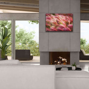 'Foxtail Barley II' by Alan Majchrowicz,Giclee Canvas Wall Art,40x26
