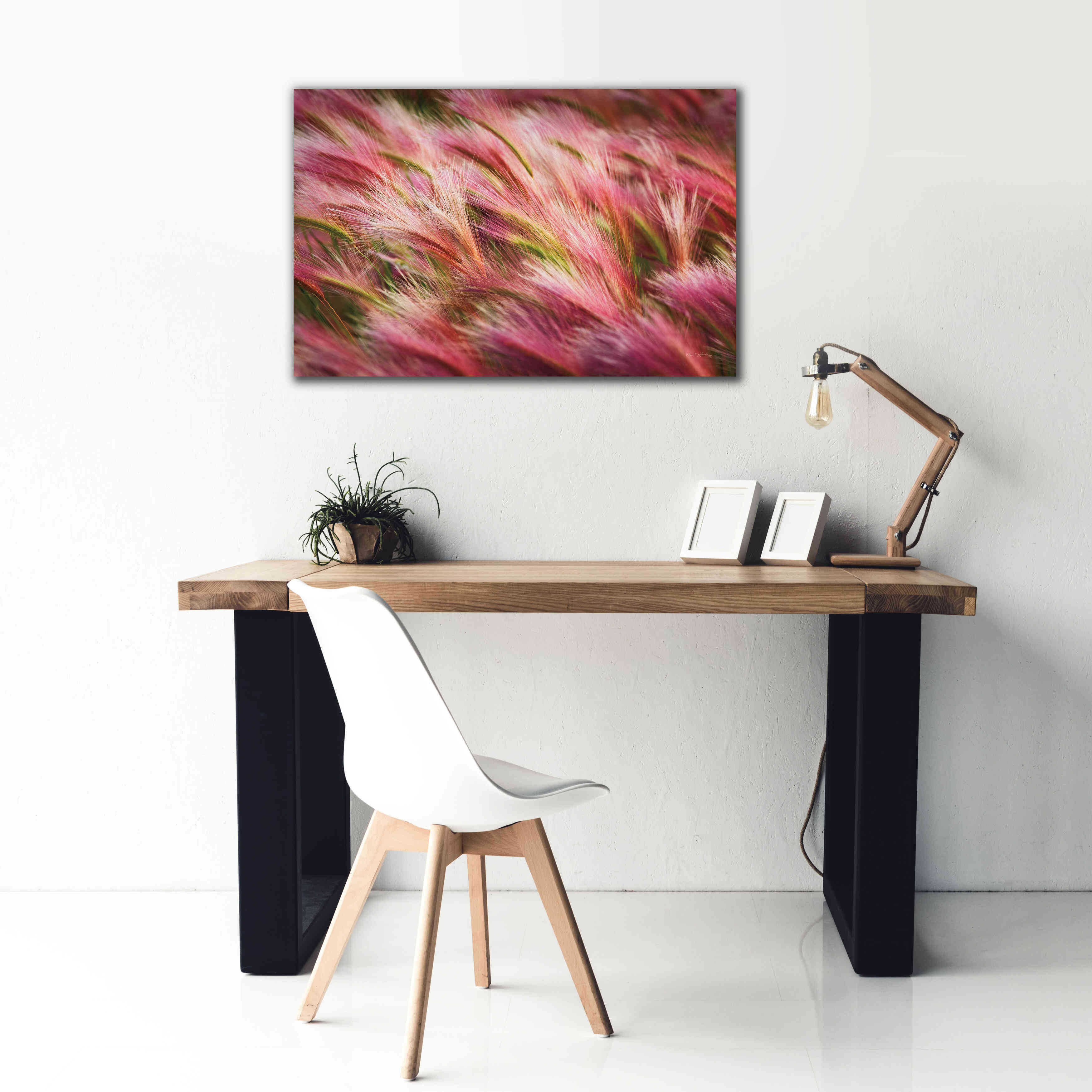 'Foxtail Barley II' by Alan Majchrowicz,Giclee Canvas Wall Art,40x26