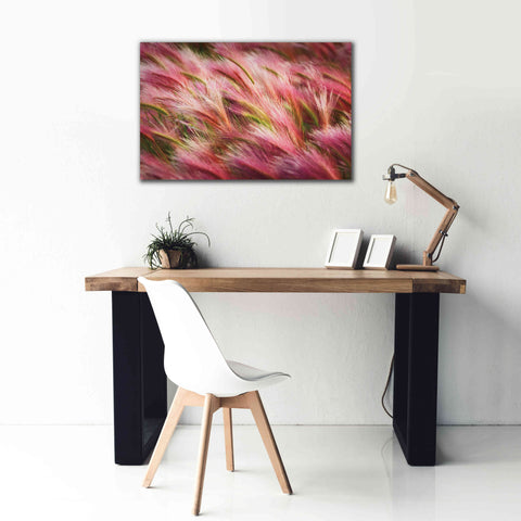 Image of 'Foxtail Barley II' by Alan Majchrowicz,Giclee Canvas Wall Art,40x26