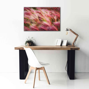 'Foxtail Barley II' by Alan Majchrowicz,Giclee Canvas Wall Art,40x26