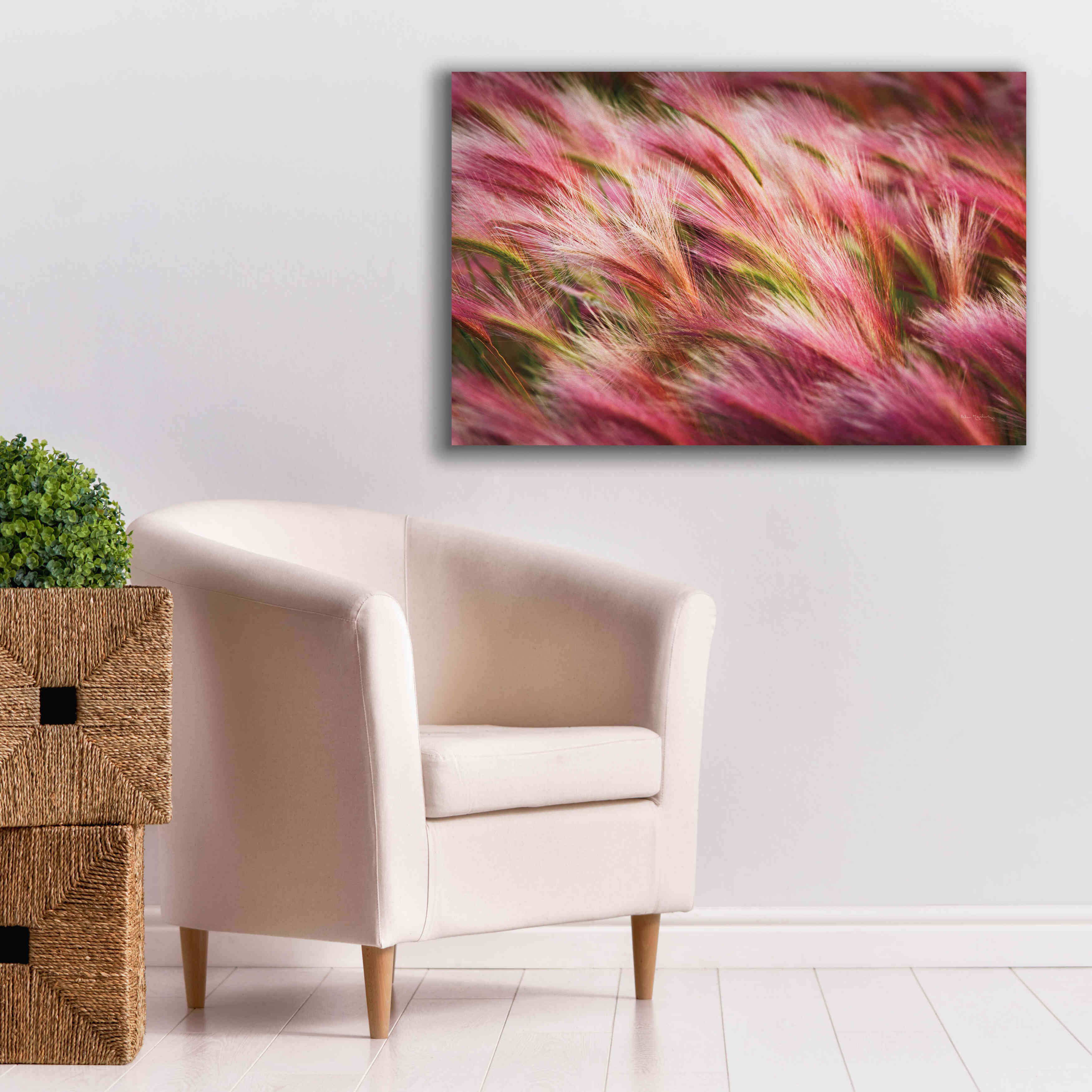'Foxtail Barley II' by Alan Majchrowicz,Giclee Canvas Wall Art,40x26