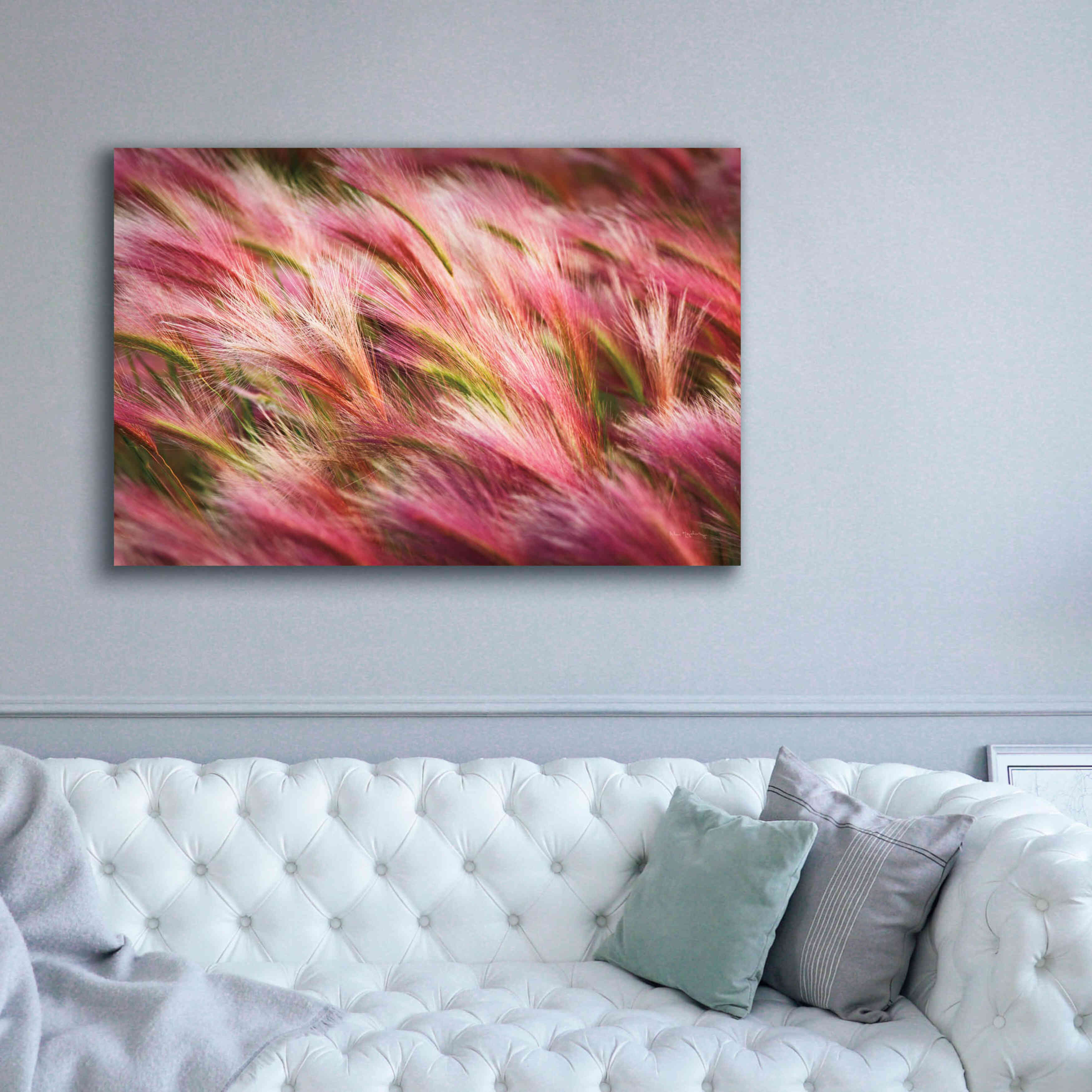 'Foxtail Barley II' by Alan Majchrowicz,Giclee Canvas Wall Art,60x40
