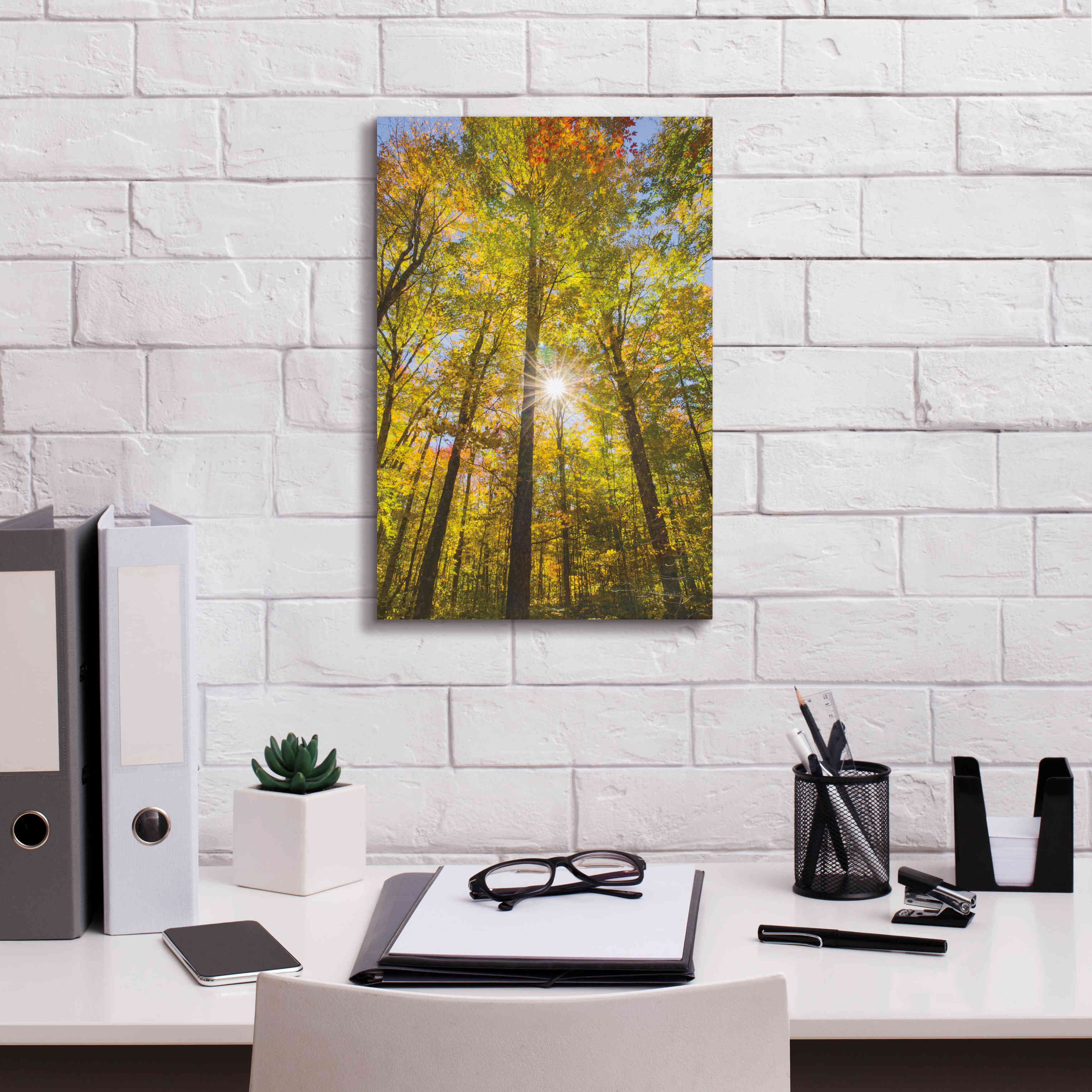 'Autumn Foliage Sunburst III' by Alan Majchrowicz,Giclee Canvas Wall Art,12x18
