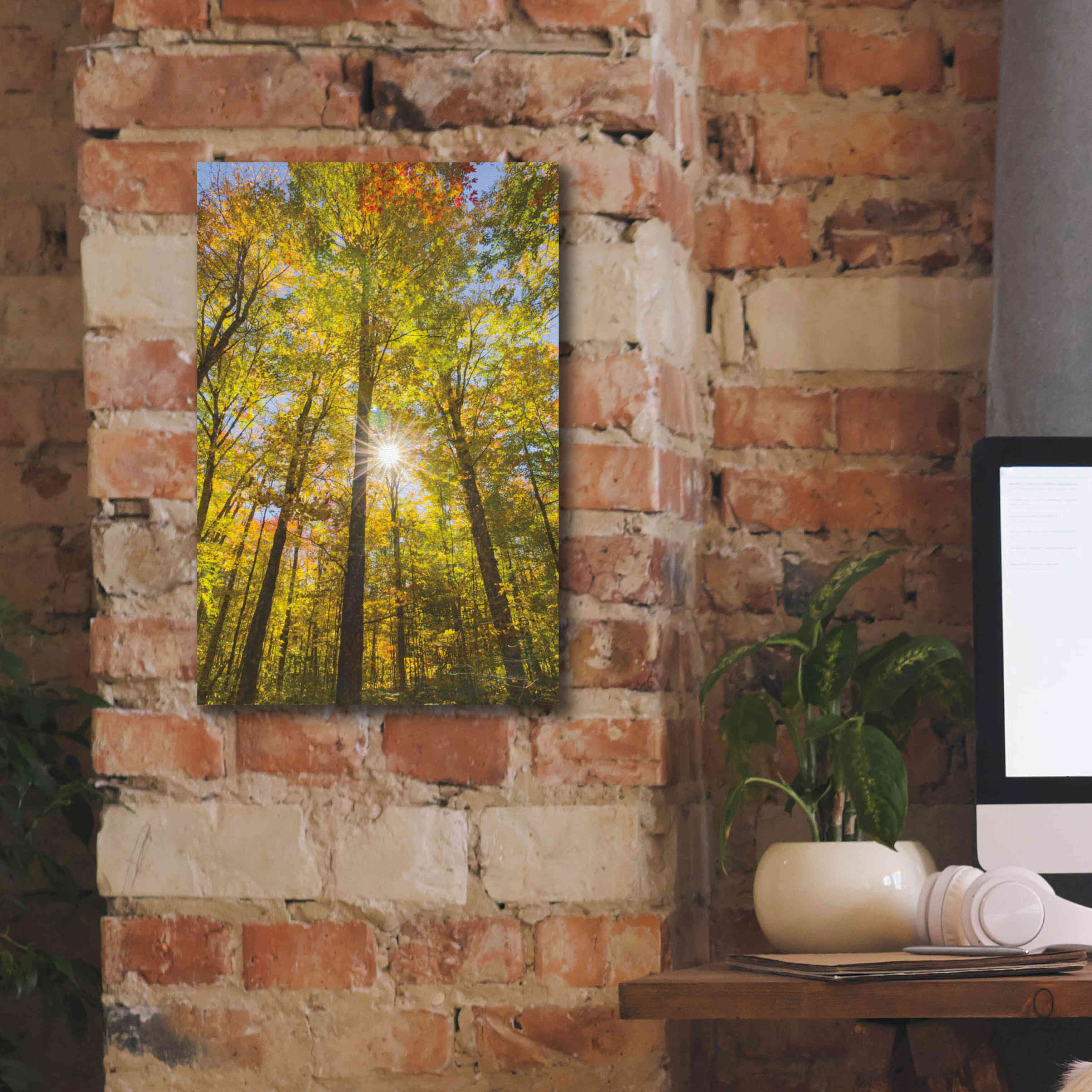 'Autumn Foliage Sunburst III' by Alan Majchrowicz,Giclee Canvas Wall Art,12x18