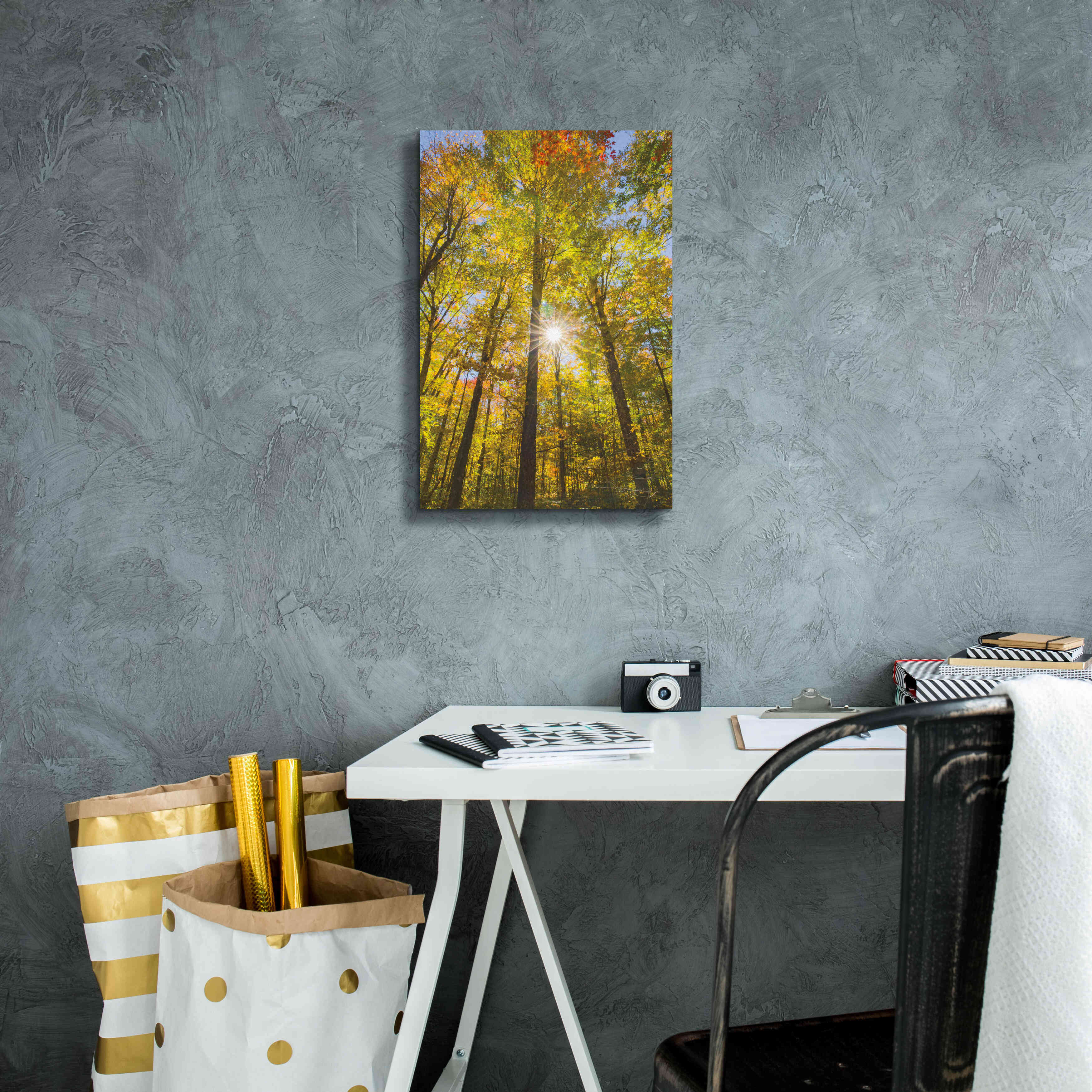 'Autumn Foliage Sunburst III' by Alan Majchrowicz,Giclee Canvas Wall Art,12x18
