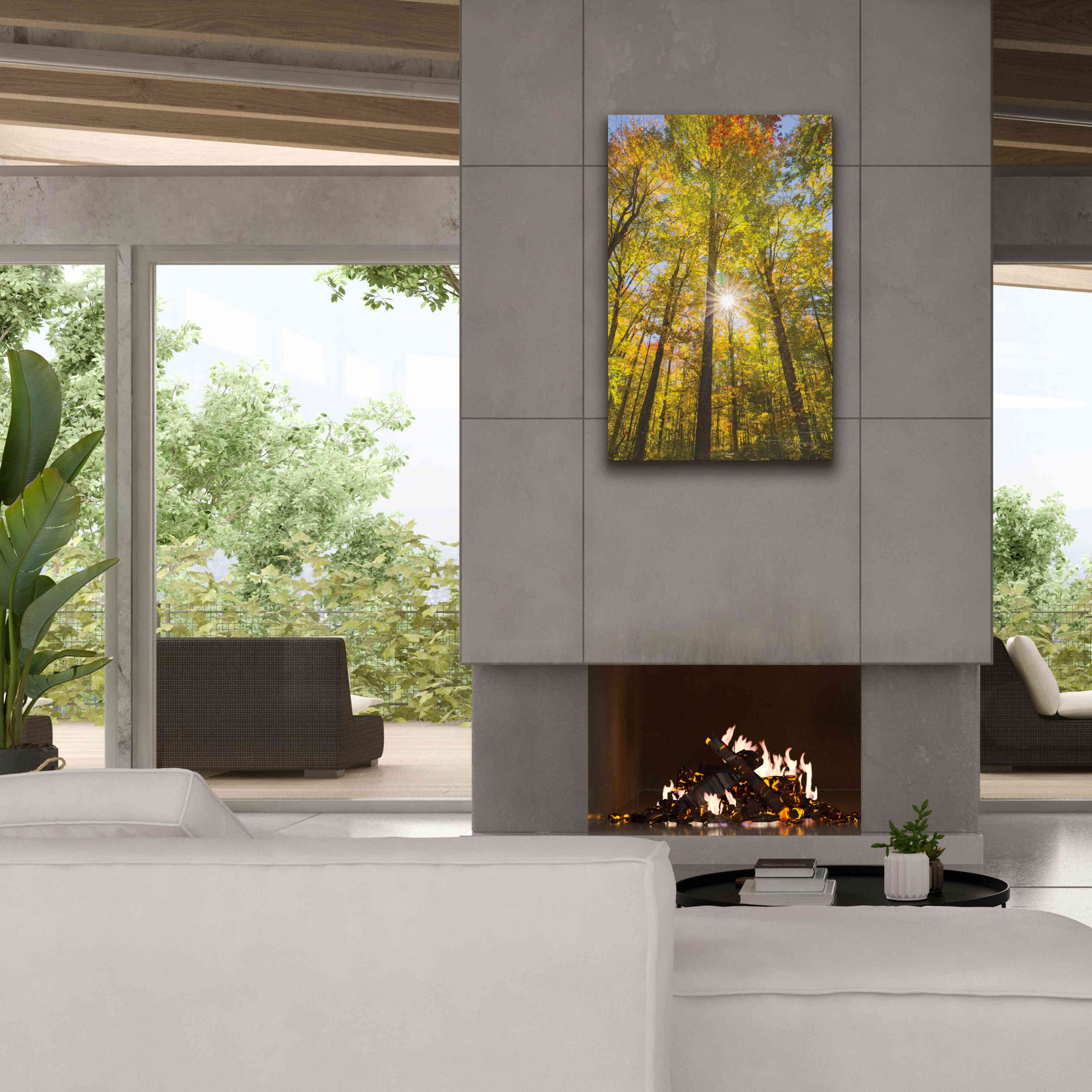 'Autumn Foliage Sunburst III' by Alan Majchrowicz,Giclee Canvas Wall Art,26x40