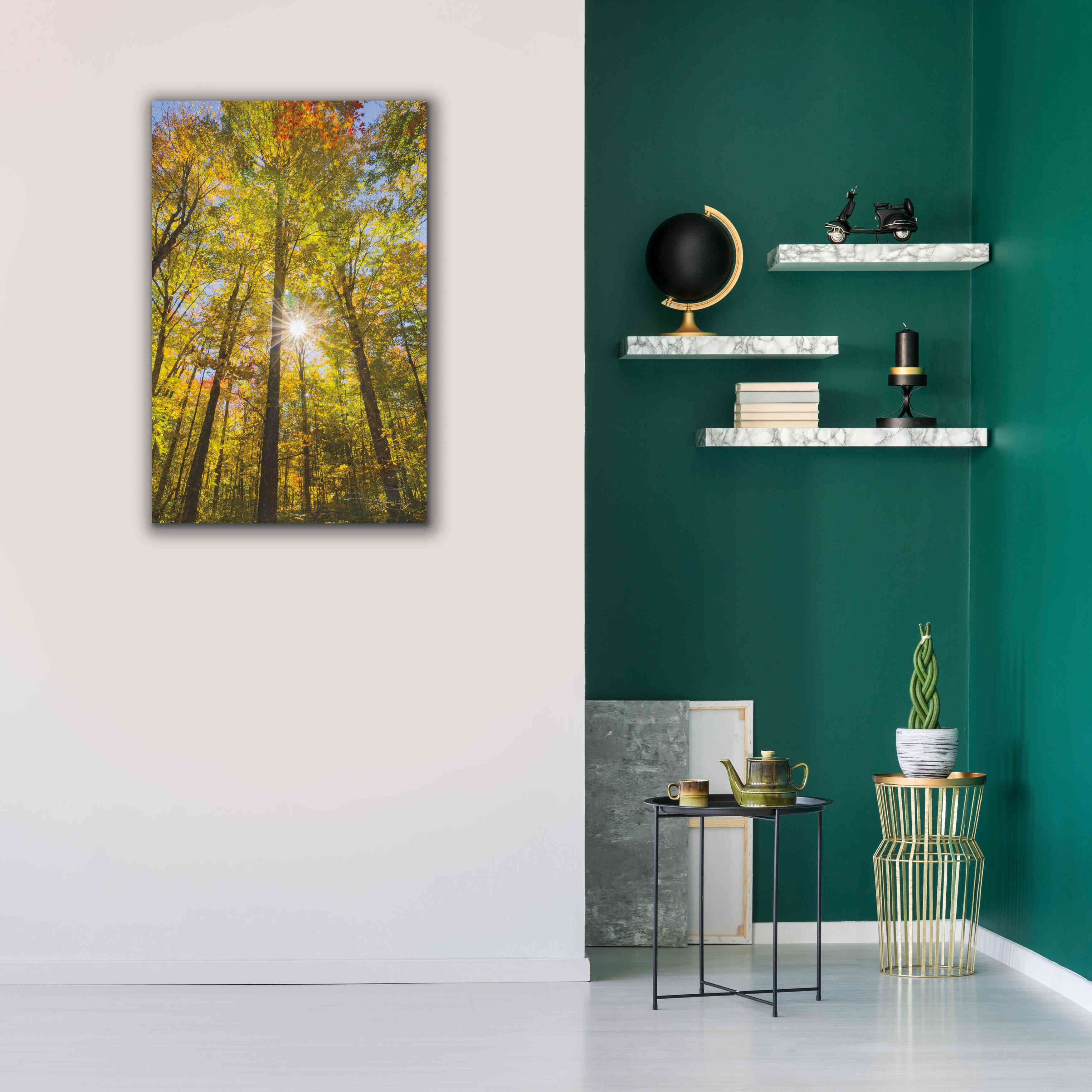 'Autumn Foliage Sunburst III' by Alan Majchrowicz,Giclee Canvas Wall Art,26x40
