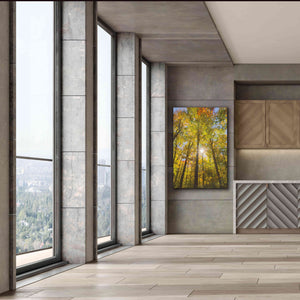 'Autumn Foliage Sunburst III' by Alan Majchrowicz,Giclee Canvas Wall Art,40x60