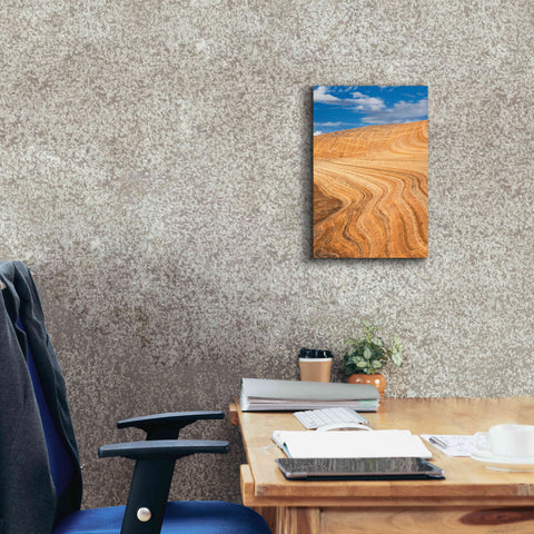 Image of 'Coyote Buttes V' by Alan Majchrowicz,Giclee Canvas Wall Art,12x18