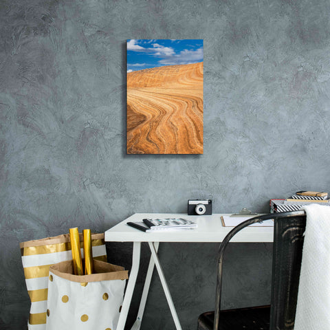 Image of 'Coyote Buttes V' by Alan Majchrowicz,Giclee Canvas Wall Art,12x18