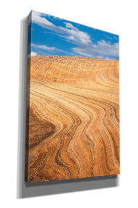 'Coyote Buttes V' by Alan Majchrowicz,Giclee Canvas Wall Art