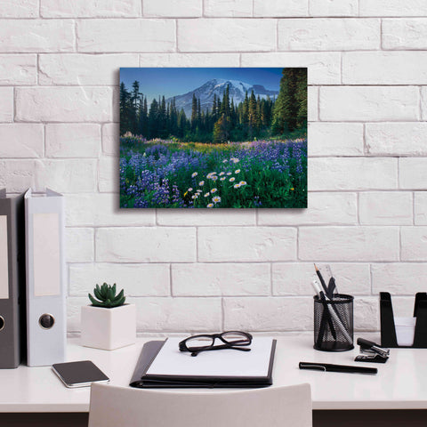 Image of 'Mount Rainier' by Alan Majchrowicz,Giclee Canvas Wall Art,16x12