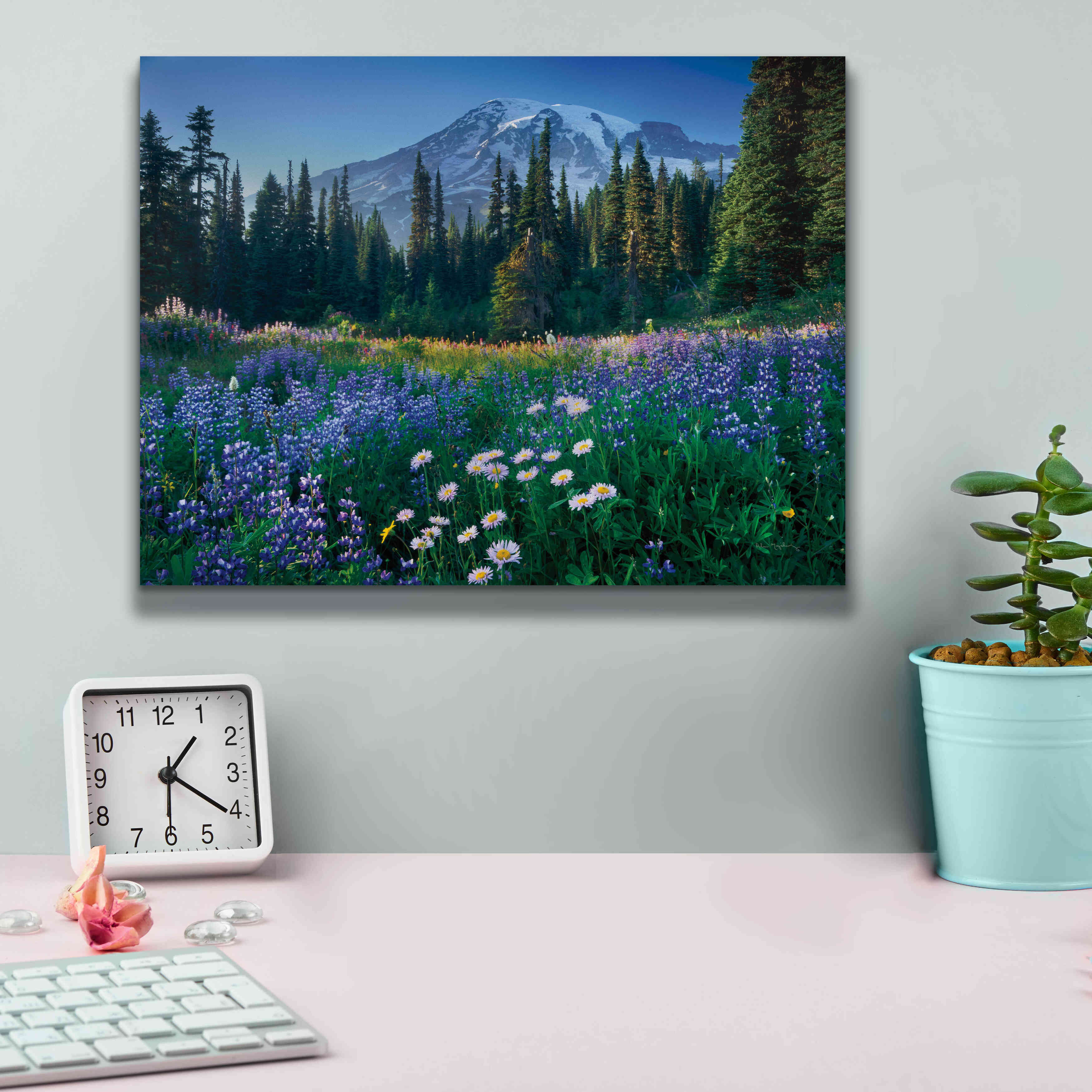 'Mount Rainier' by Alan Majchrowicz,Giclee Canvas Wall Art,16x12