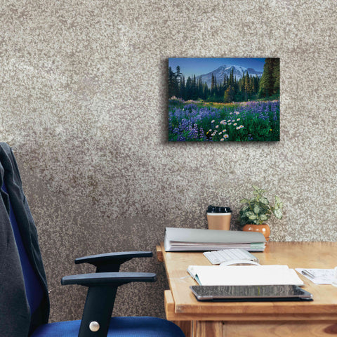 Image of 'Mount Rainier' by Alan Majchrowicz,Giclee Canvas Wall Art,16x12