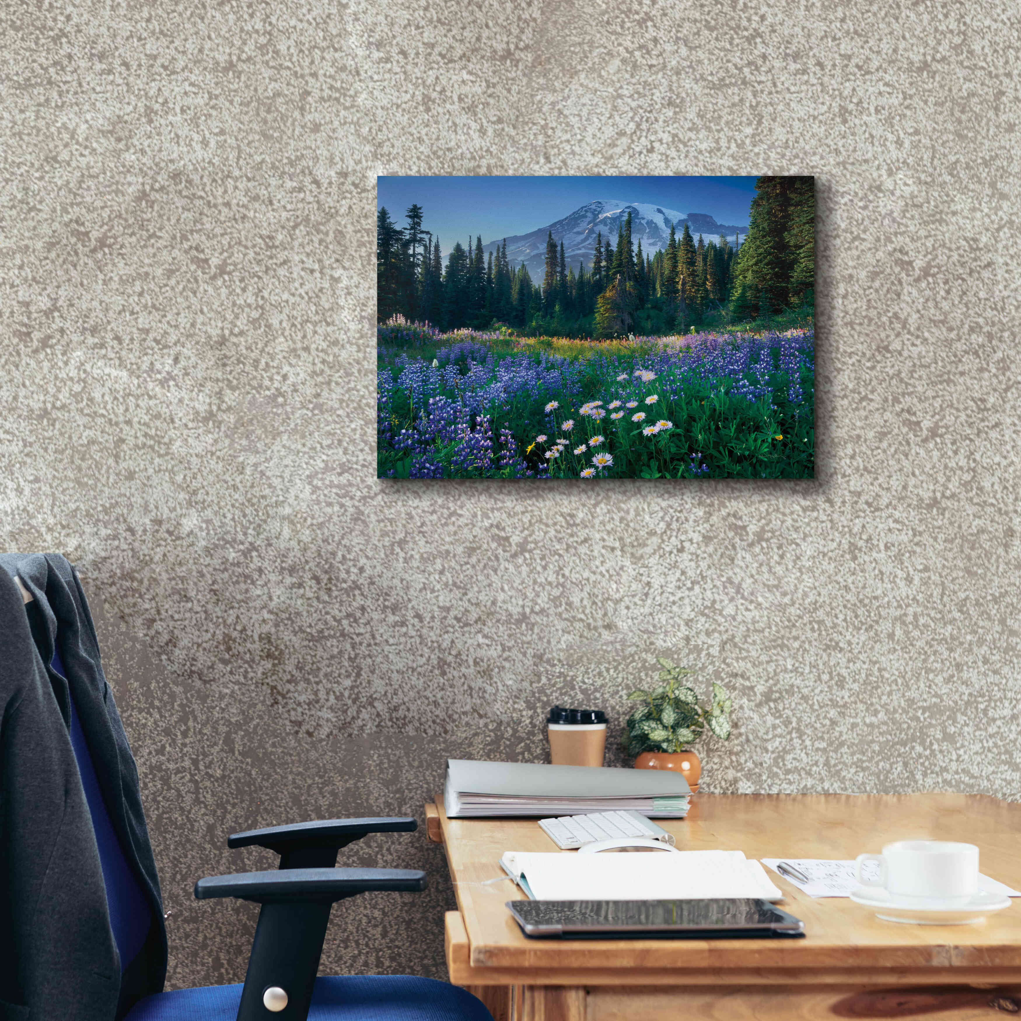 'Mount Rainier' by Alan Majchrowicz,Giclee Canvas Wall Art,24x20