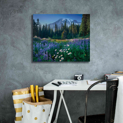 Image of 'Mount Rainier' by Alan Majchrowicz,Giclee Canvas Wall Art,24x20