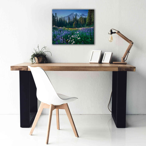 Image of 'Mount Rainier' by Alan Majchrowicz,Giclee Canvas Wall Art,24x20