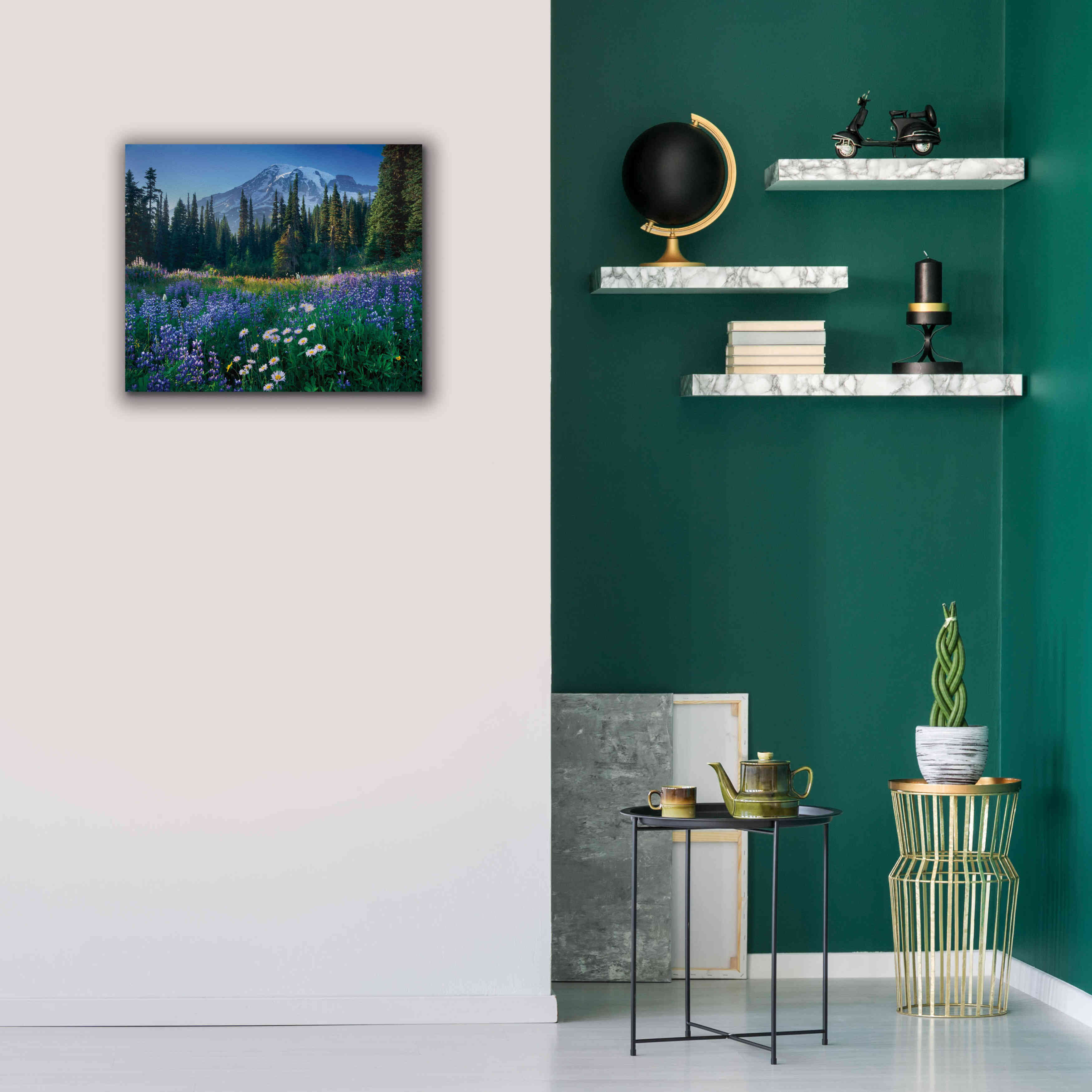 'Mount Rainier' by Alan Majchrowicz,Giclee Canvas Wall Art,24x20