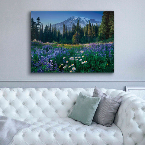 Image of 'Mount Rainier' by Alan Majchrowicz,Giclee Canvas Wall Art,54x40