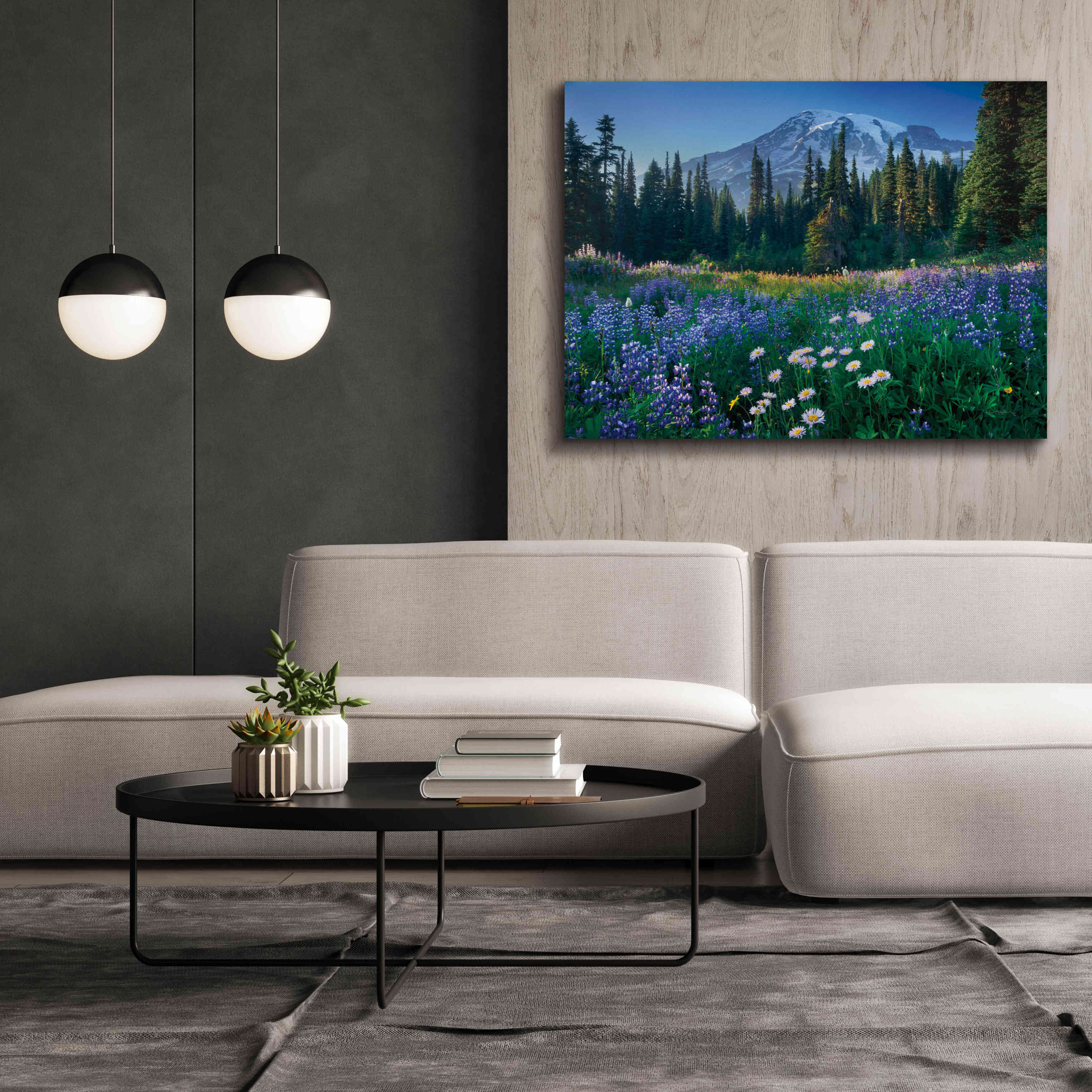 'Mount Rainier' by Alan Majchrowicz,Giclee Canvas Wall Art,54x40