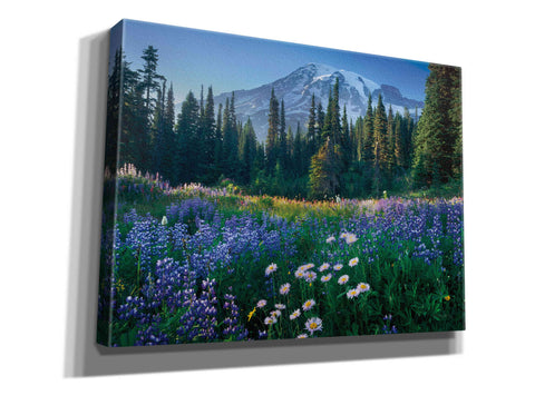 Image of 'Mount Rainier' by Alan Majchrowicz,Giclee Canvas Wall Art