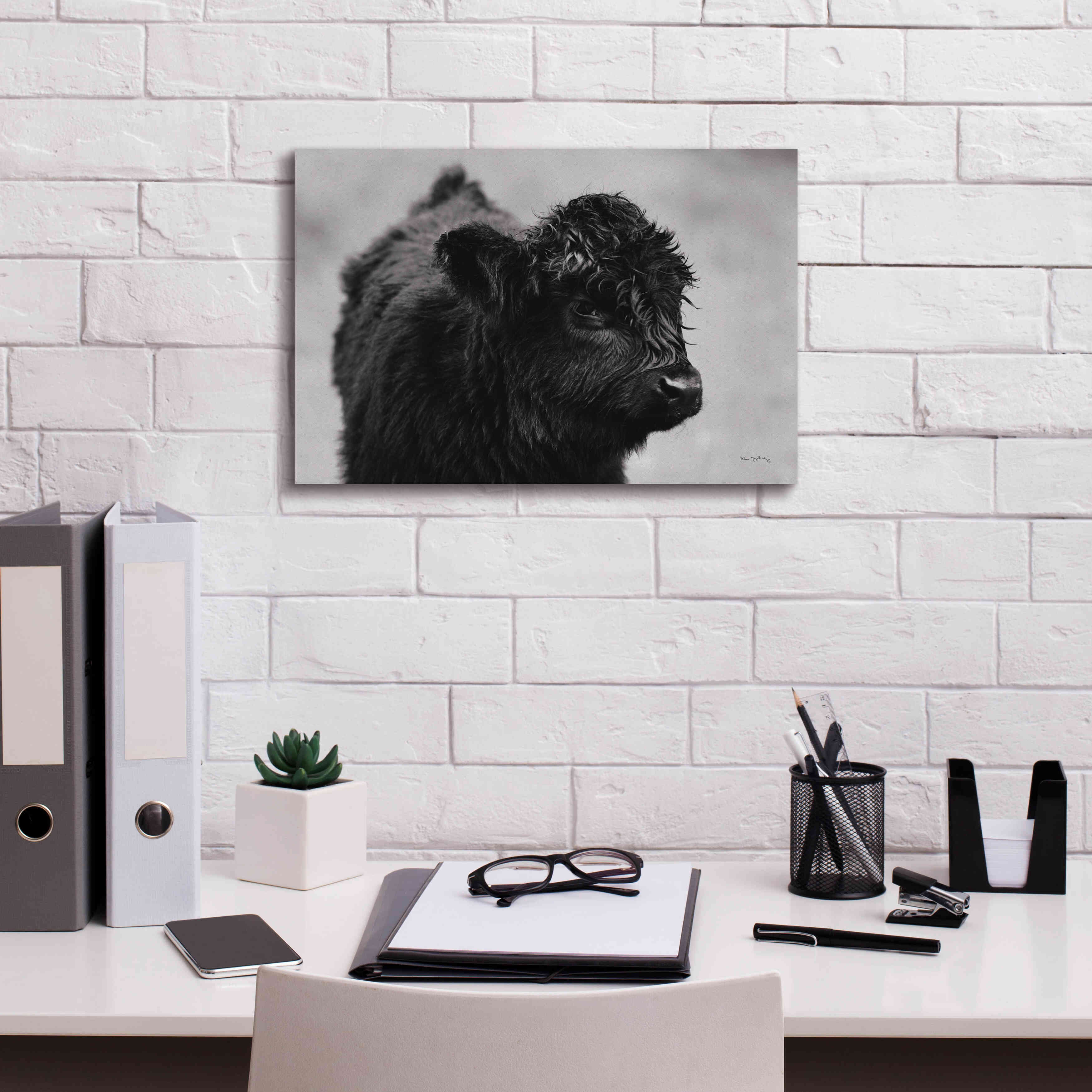 'Scottish Highland Cattle XI BW' by Alan Majchrowicz,Giclee Canvas Wall Art,18x12