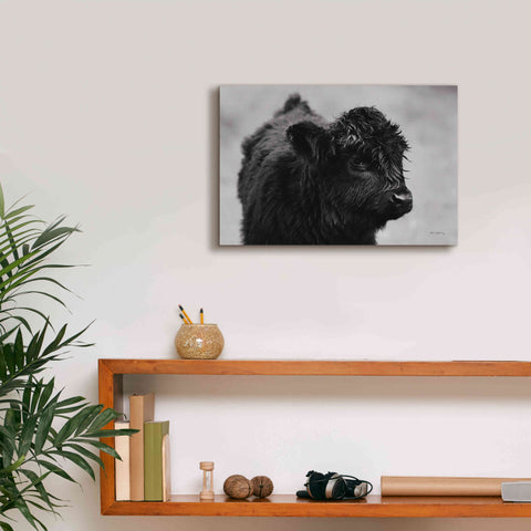 Image of 'Scottish Highland Cattle XI BW' by Alan Majchrowicz,Giclee Canvas Wall Art,18x12
