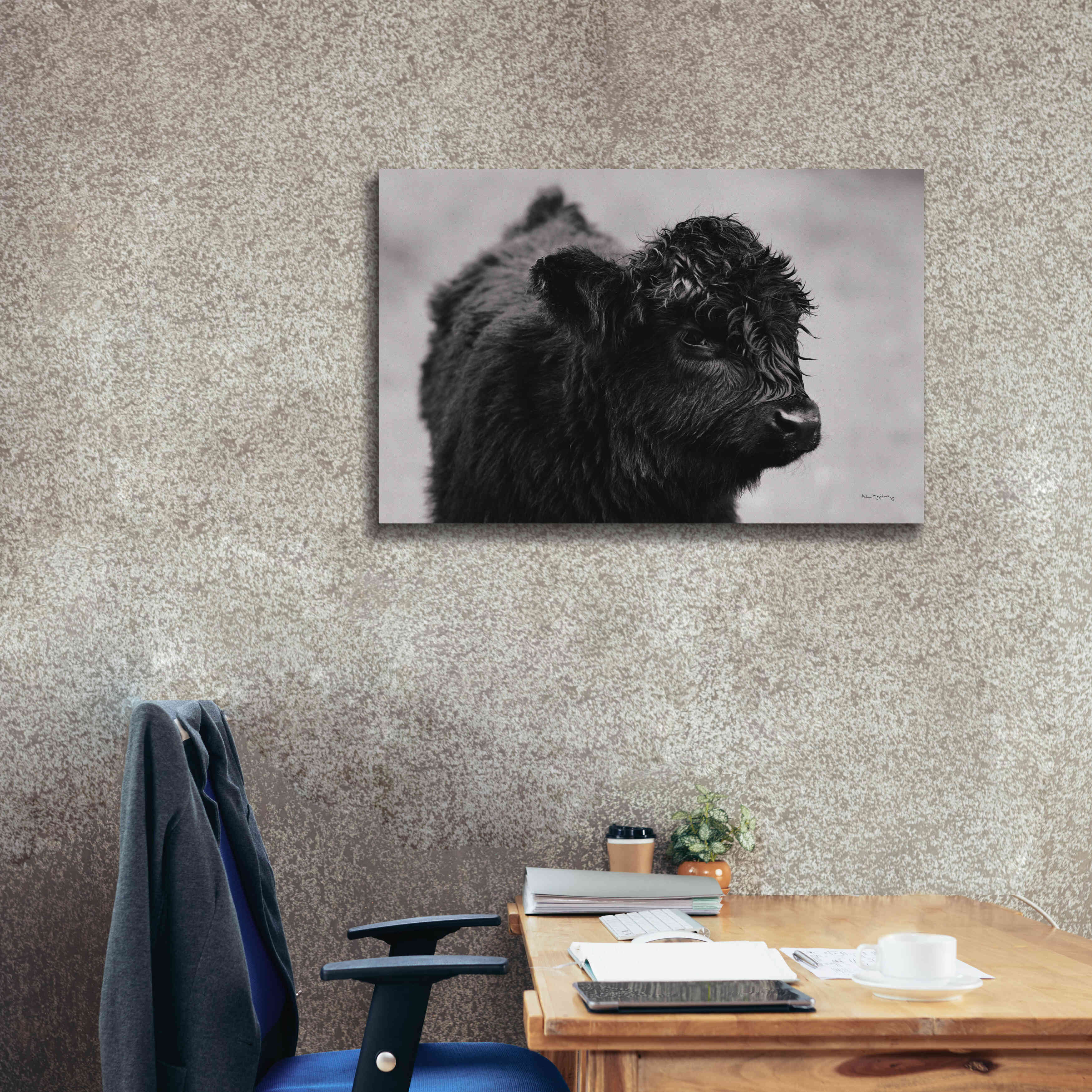 'Scottish Highland Cattle XI BW' by Alan Majchrowicz,Giclee Canvas Wall Art,40x26