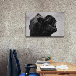 'Scottish Highland Cattle XI BW' by Alan Majchrowicz,Giclee Canvas Wall Art,40x26