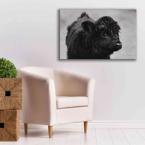Image of 'Scottish Highland Cattle XI BW' by Alan Majchrowicz,Giclee Canvas Wall Art,40x26
