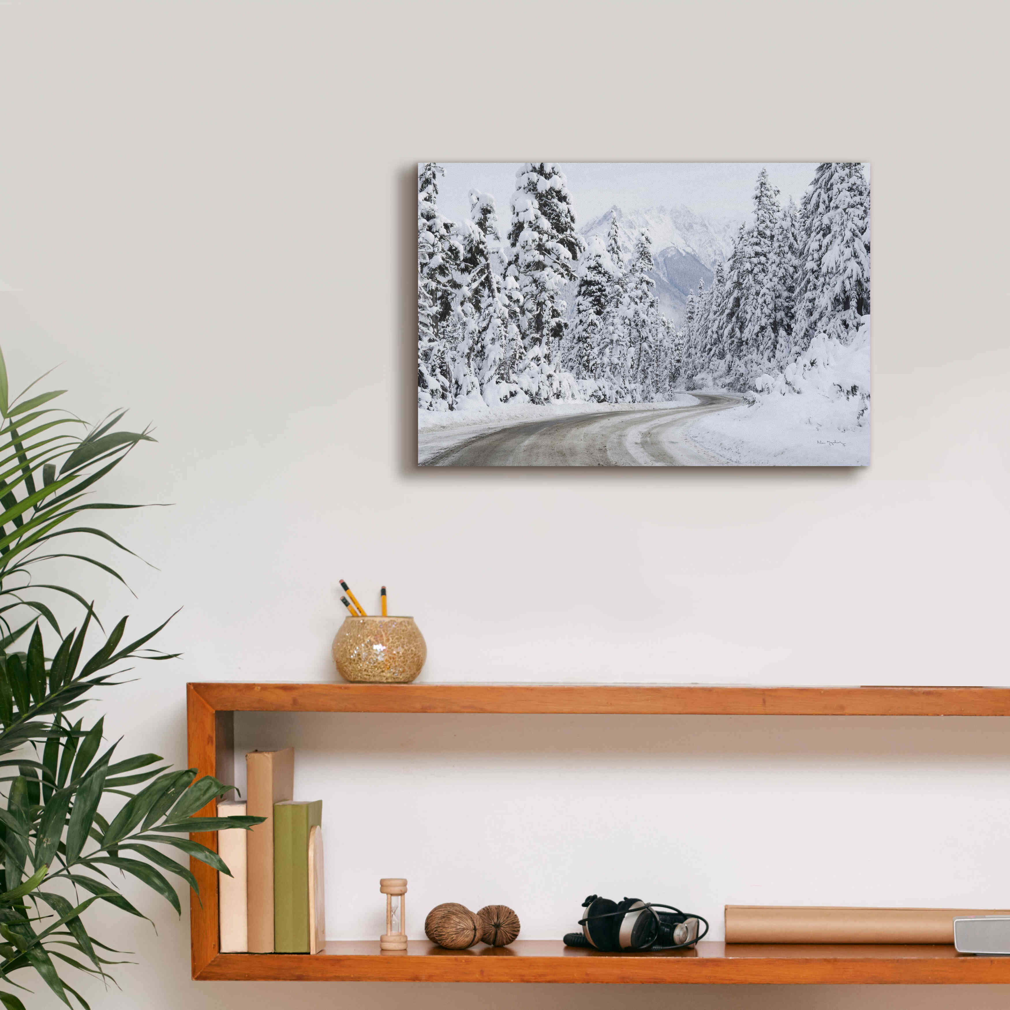 'Mount Baker Highway I' by Alan Majchrowicz,Giclee Canvas Wall Art,18x12