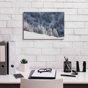 'North Cascades in Winter III' by Alan Majchrowicz,Giclee Canvas Wall Art,18x12