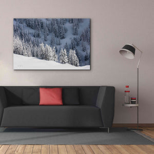 'North Cascades in Winter III' by Alan Majchrowicz,Giclee Canvas Wall Art,60x40
