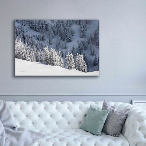 Image of 'North Cascades in Winter III' by Alan Majchrowicz,Giclee Canvas Wall Art,60x40