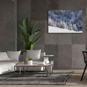 'North Cascades in Winter III' by Alan Majchrowicz,Giclee Canvas Wall Art,60x40