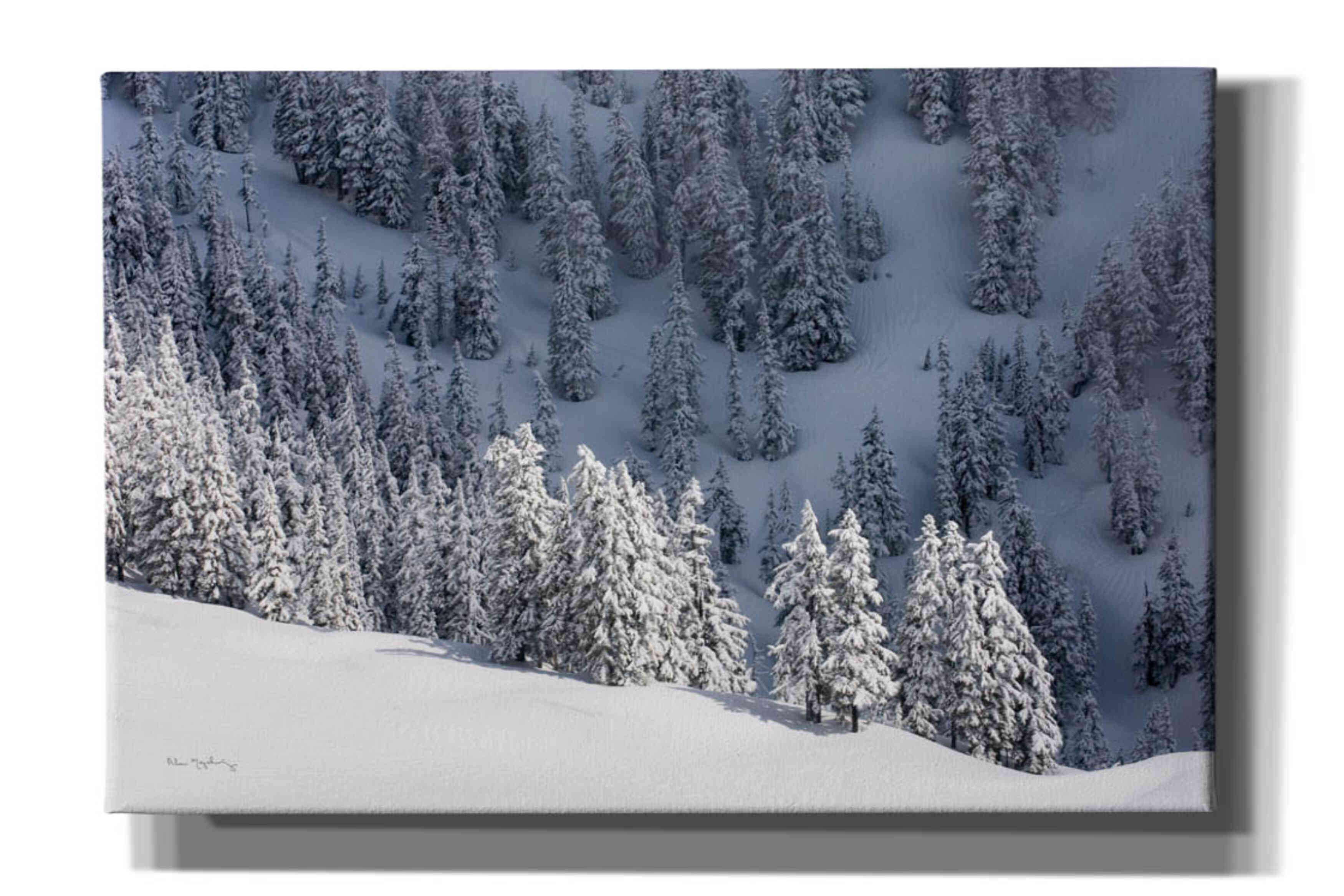 'North Cascades in Winter III' by Alan Majchrowicz,Giclee Canvas Wall Art