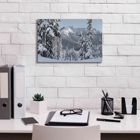 Image of 'Nooksack Ridge in Winter' by Alan Majchrowicz,Giclee Canvas Wall Art,18x12