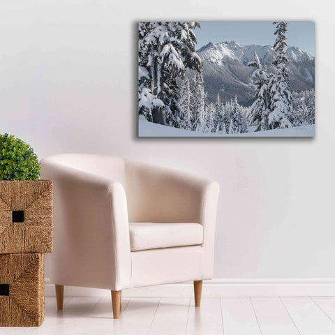 Image of 'Nooksack Ridge in Winter' by Alan Majchrowicz,Giclee Canvas Wall Art,40x26