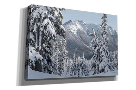 'Nooksack Ridge in Winter' by Alan Majchrowicz,Giclee Canvas Wall Art