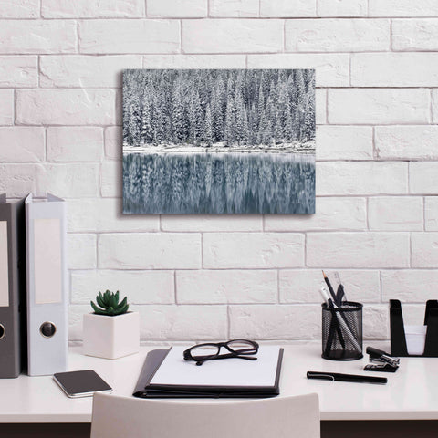 Image of 'Winter Reflections' by Alan Majchrowicz,Giclee Canvas Wall Art,16x12