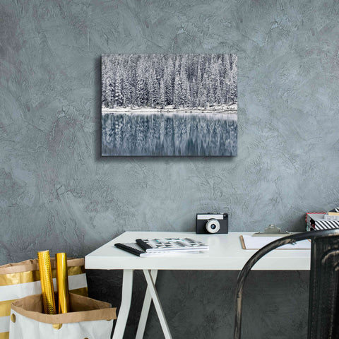 Image of 'Winter Reflections' by Alan Majchrowicz,Giclee Canvas Wall Art,16x12